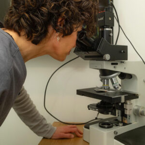 Live Blood Cell Analysis
