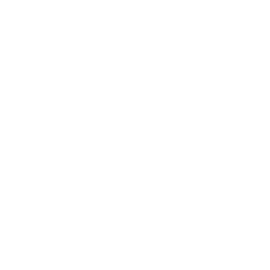 Foundation Assessment