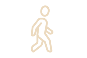 Active Movement and Mobility